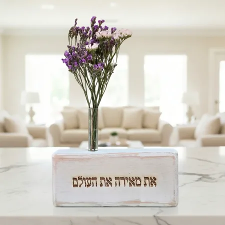 וייזבלוק פחוני את מאירה את העולם